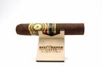 Perdomo 20th Anniversary - Sun Grown Robusto 5x56